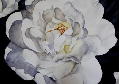 Idelle Okman Tyzbir "White Rose" 41x41 Watercolor NFS